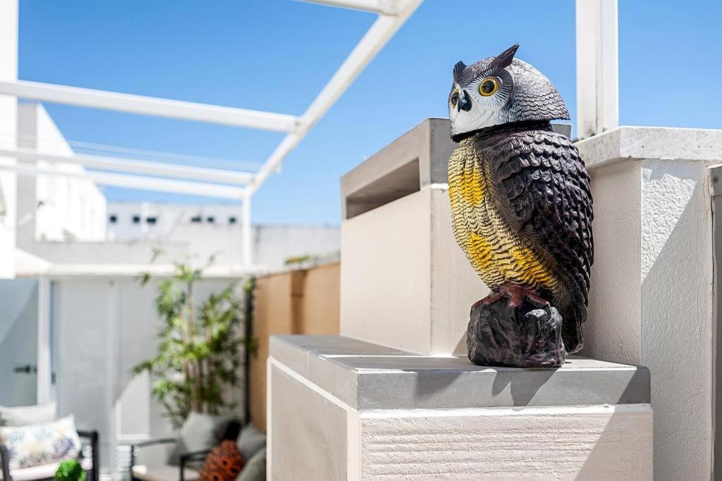 Casa Terraza Apartment Conil De La Frontera Ngoại thất bức ảnh